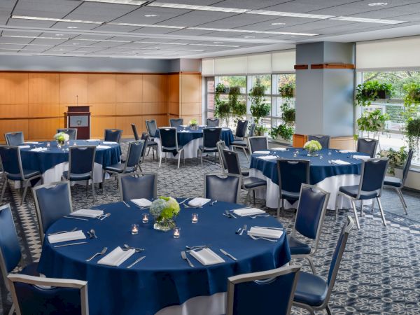 A conference banquet setup with round tables draped in blue cloth, place settings, chairs, plants, and a podium in a bright, windowed event room.
