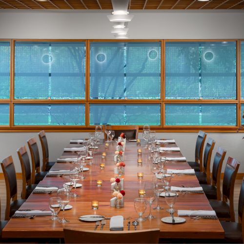 A long dining table set for a formal meal with plates, cutlery, glasses, and napkins, in a bright room with blue-tinted windows and plants.